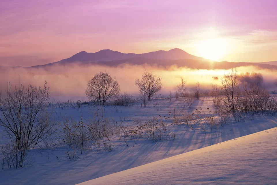 Winter in Japan