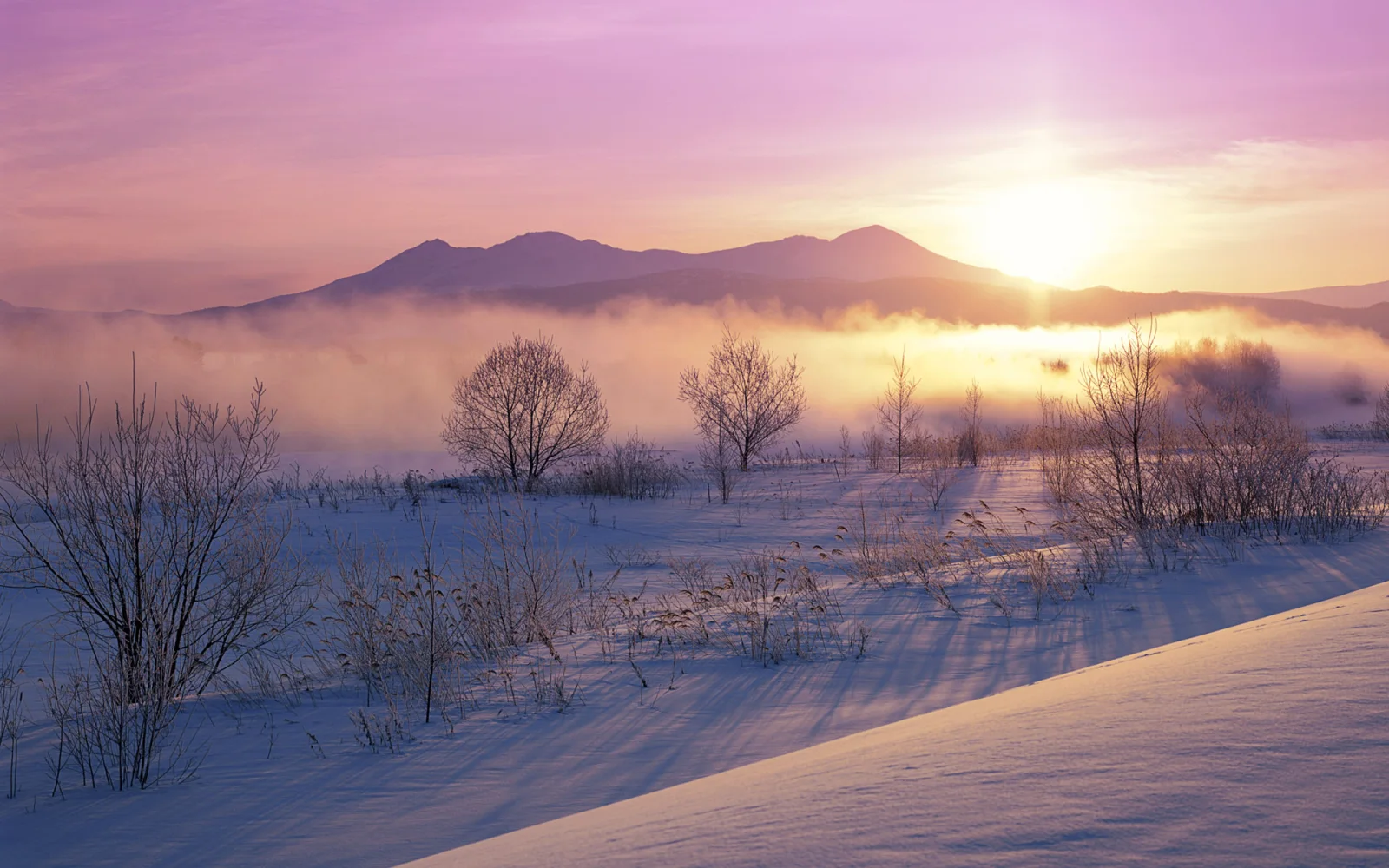 Winter in Japan