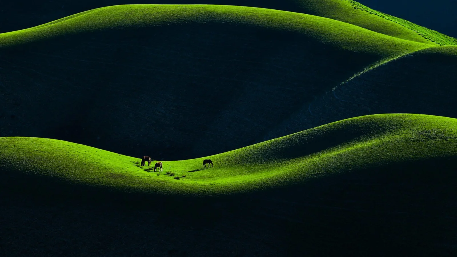 Berg Wiese in China