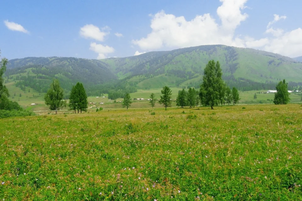 Landschaft und Sehenswürdigkeiten – Landschaft