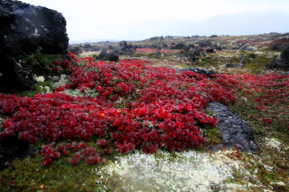Landschaft und Sehenswürdigkeiten – Natur Kamtschatka, Russland