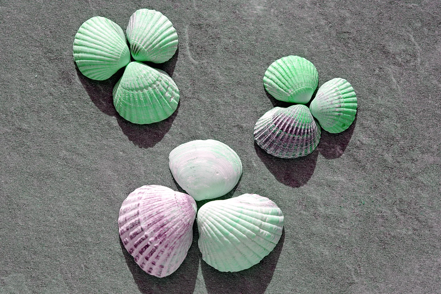 Bunte Muscheln auf einem Stein im Sommer