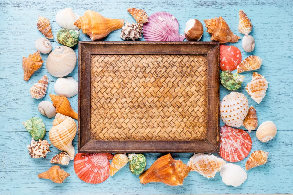 Foto mit Muscheln vor hellblauem Hintergrund