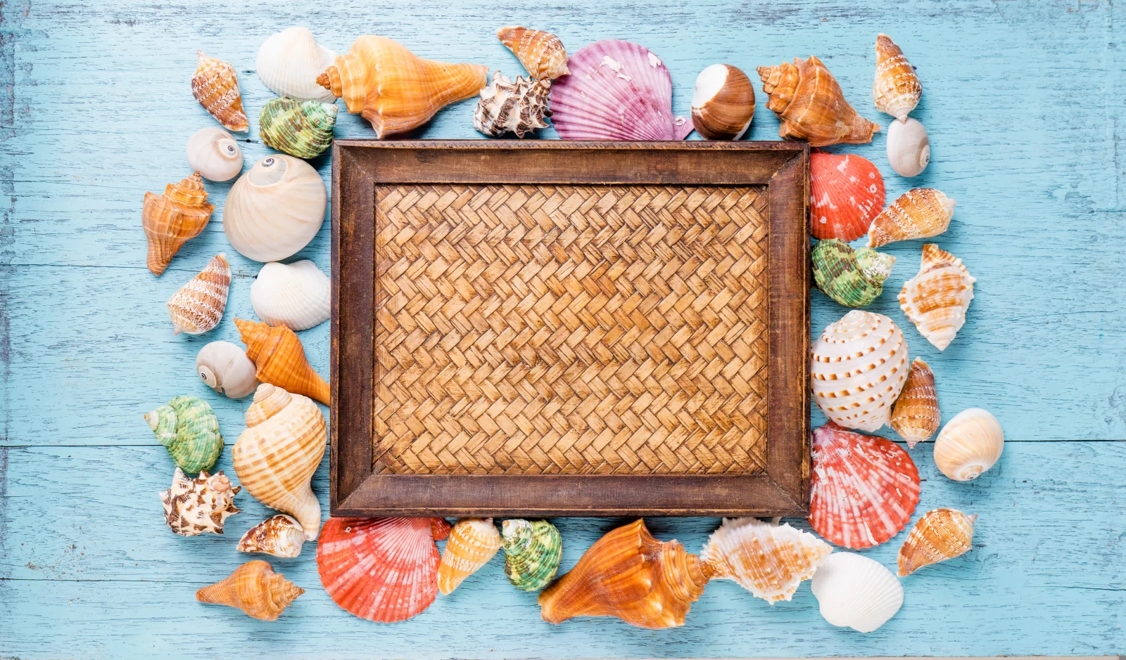 Foto mit Muscheln vor hellblauem Hintergrund