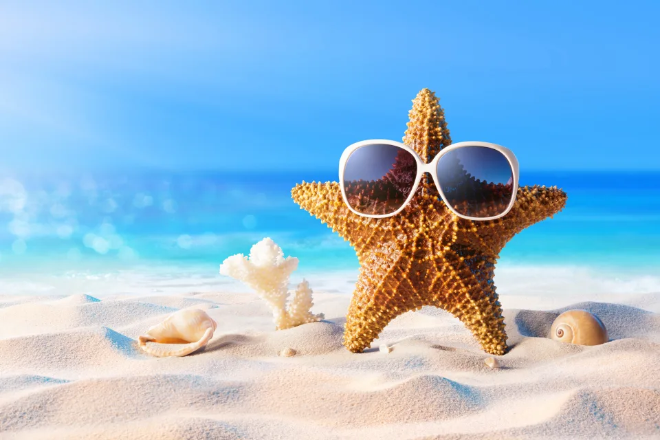 Meeres Sterne in Brille im Sand am Meer im Sommer