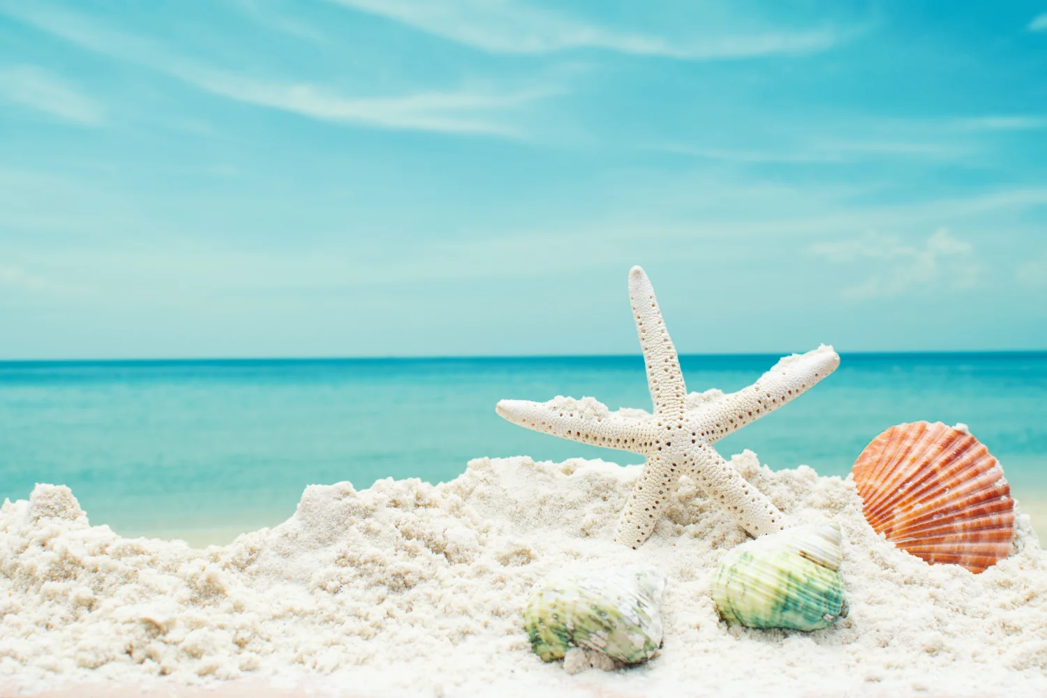 Meeres Sterne mit Muscheln auf weißem Sand an der Meeresküste im Sommer