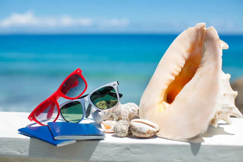Muscheln mit Brille und vor dem Hintergrund Ozean