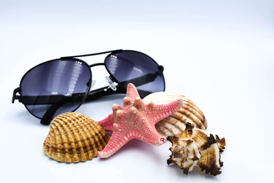 Muscheln, Meeres Sterne und Brille vor grauem Hintergrund