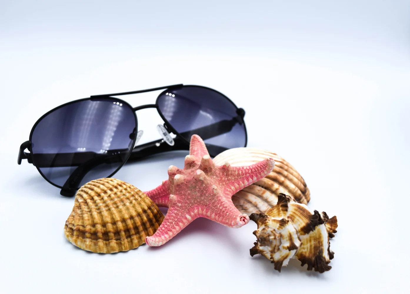 Muscheln, Meeres Sterne und Brille vor grauem Hintergrund