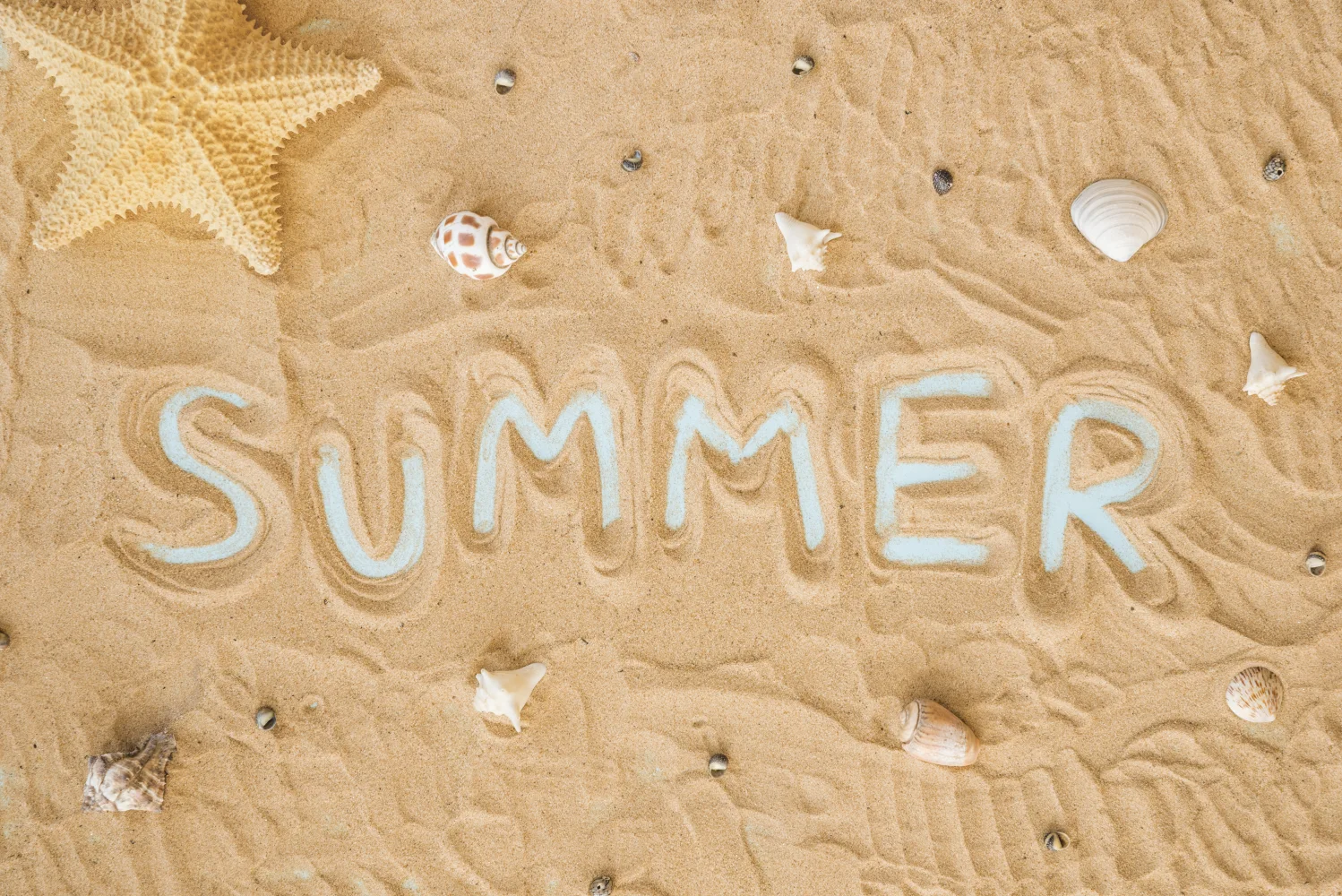 Schriftzug summer auf gelbem Sand mit Muscheln und Meeres Stern