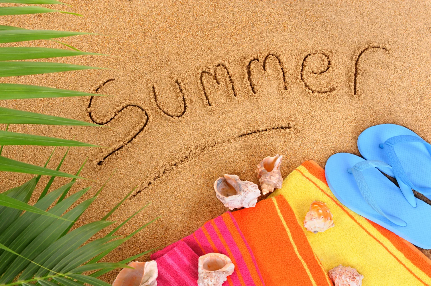 Schriftzug Sommer im Sand mit und Muscheln