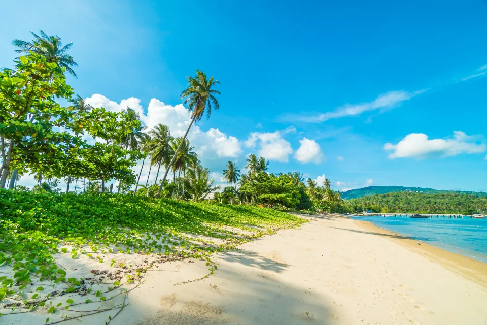 Schöner tropischer Strand mit Sand unter hellblauem Himmel im Sommer