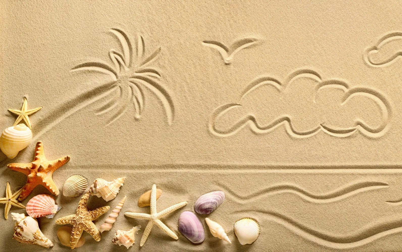 Zeichnungen im Sand mit Muscheln und Meeres Sterne im Sommer