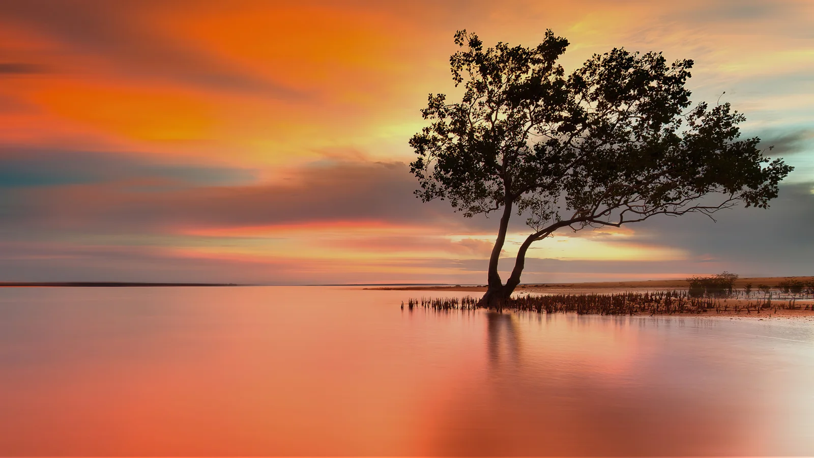 Baum im See bei Sonnenuntergang