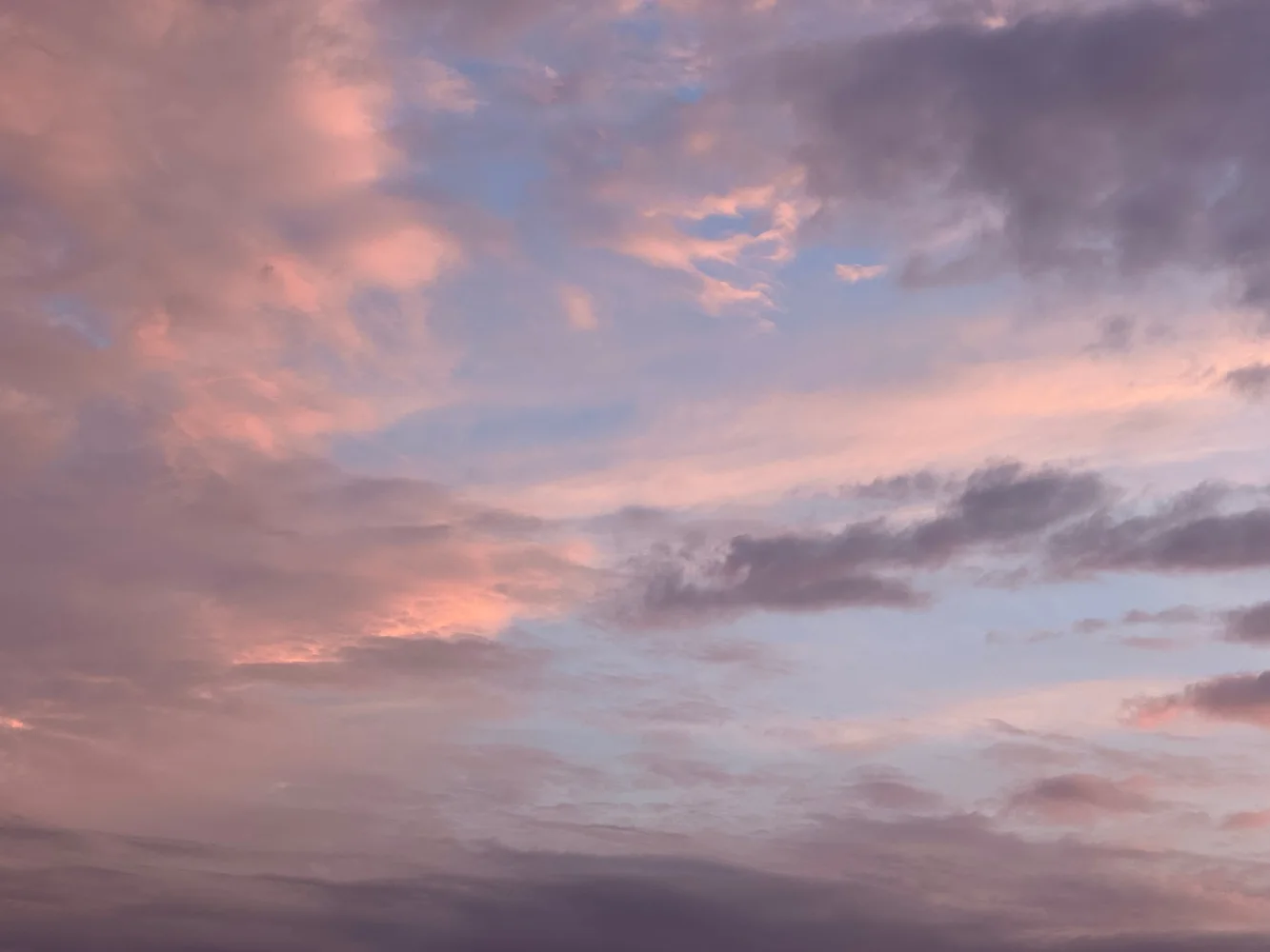 Graue Wolken in rosa Himmel bei Sonnenaufgang