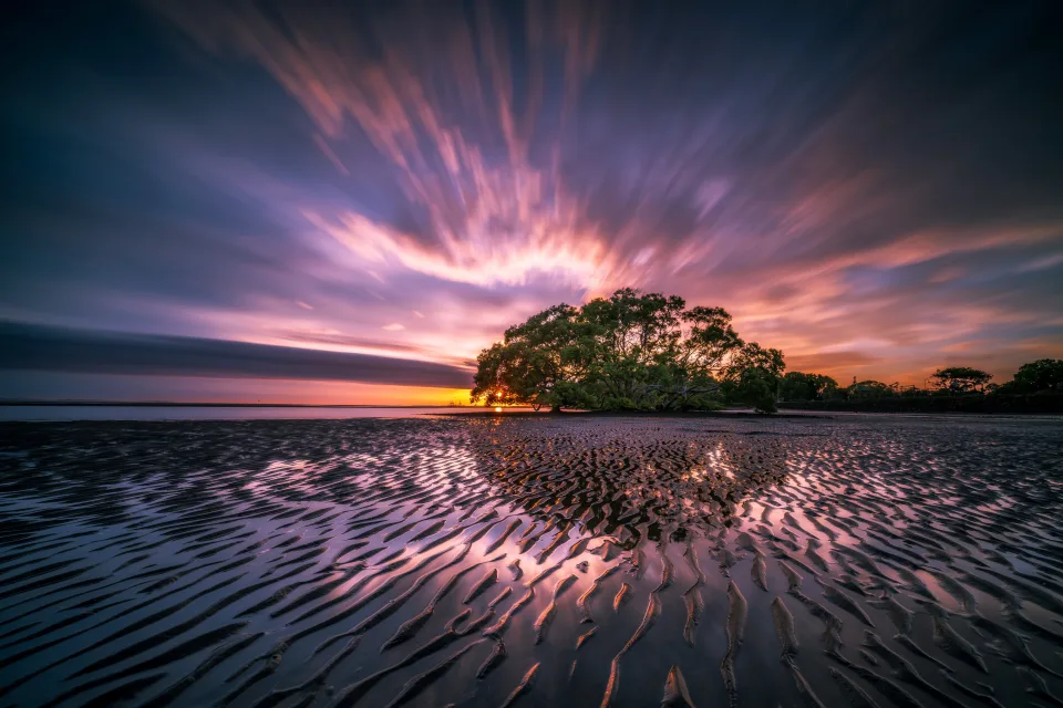 Nasser sandiger Ufer und Baum bei Sonnenuntergang
