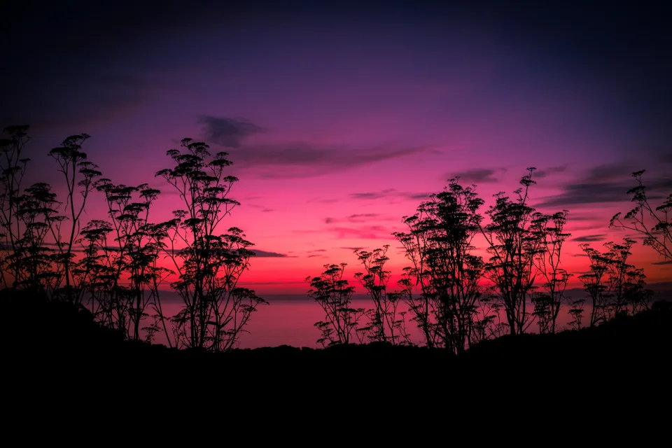 Rosa Sonnenuntergang bei stillen See
