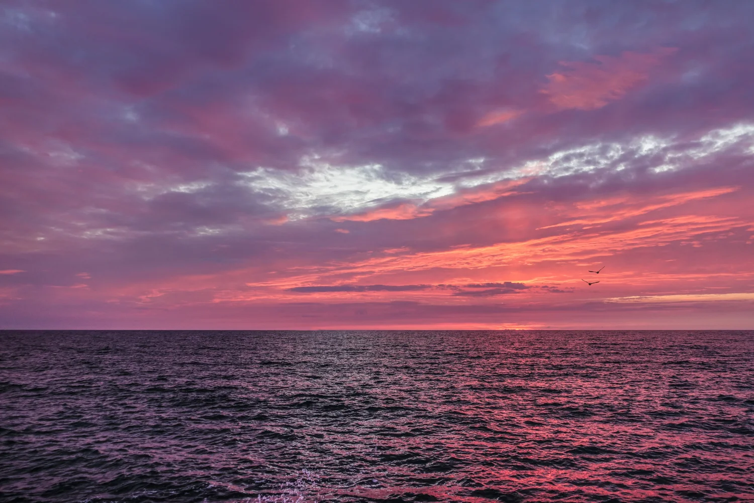 Schöner fliederfarbener Sonnenuntergang über dem Meer