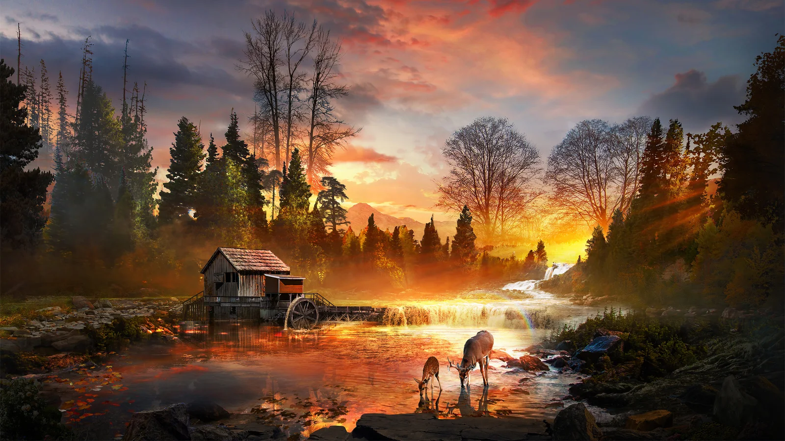 Sonnenuntergang Sonne bei Wald Fluss mit Alten Haus