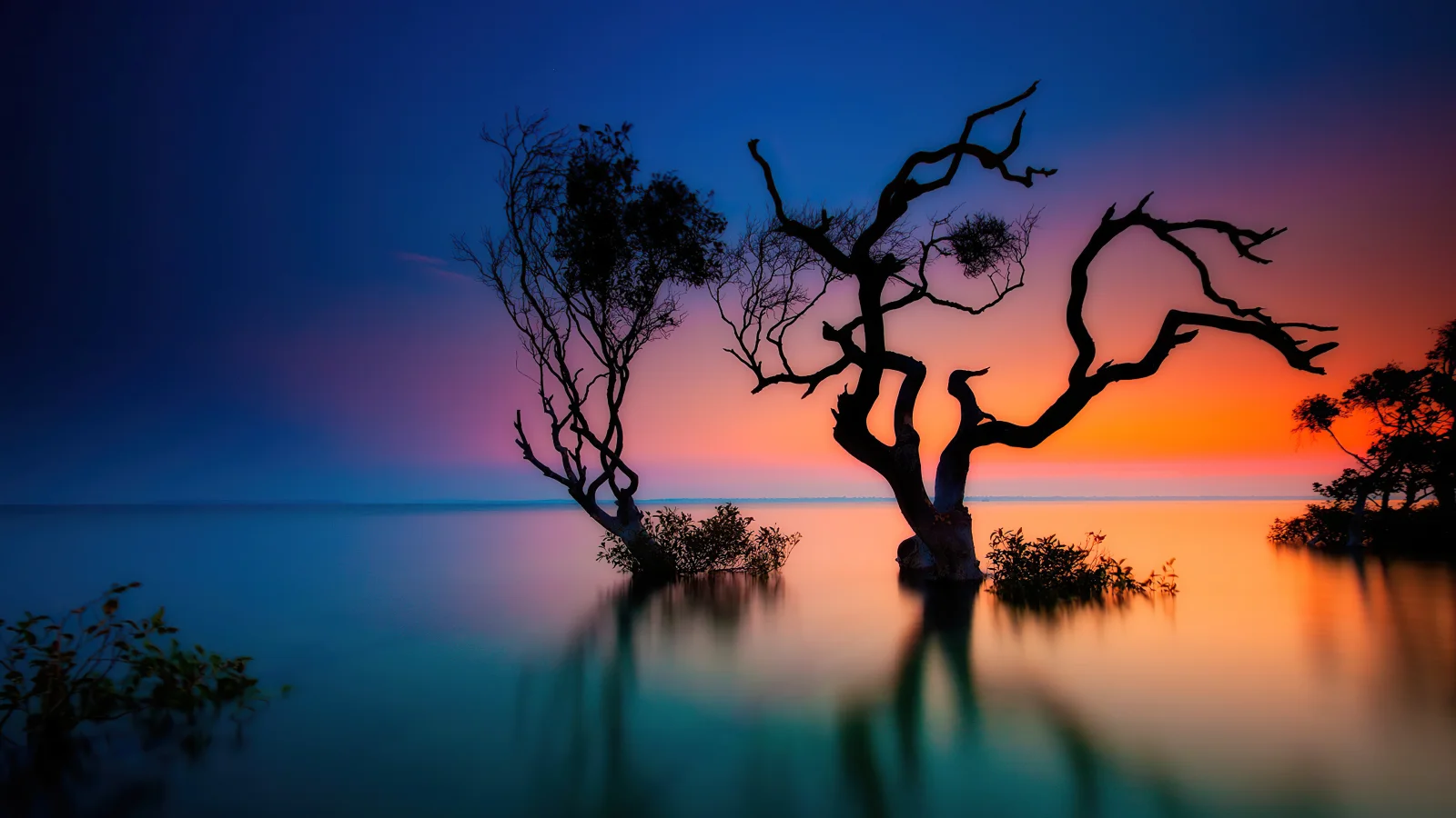 Trockene Baum im See bei Sonnenuntergang