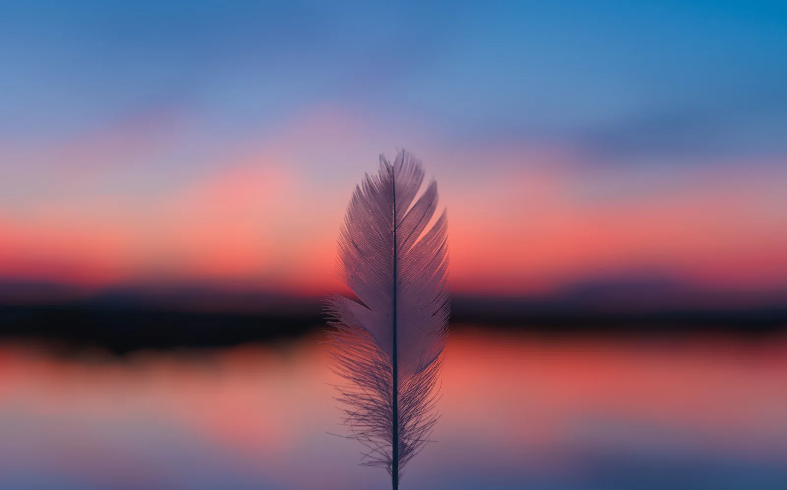 Weißes vor rotem Himmel bei Sonnenuntergang