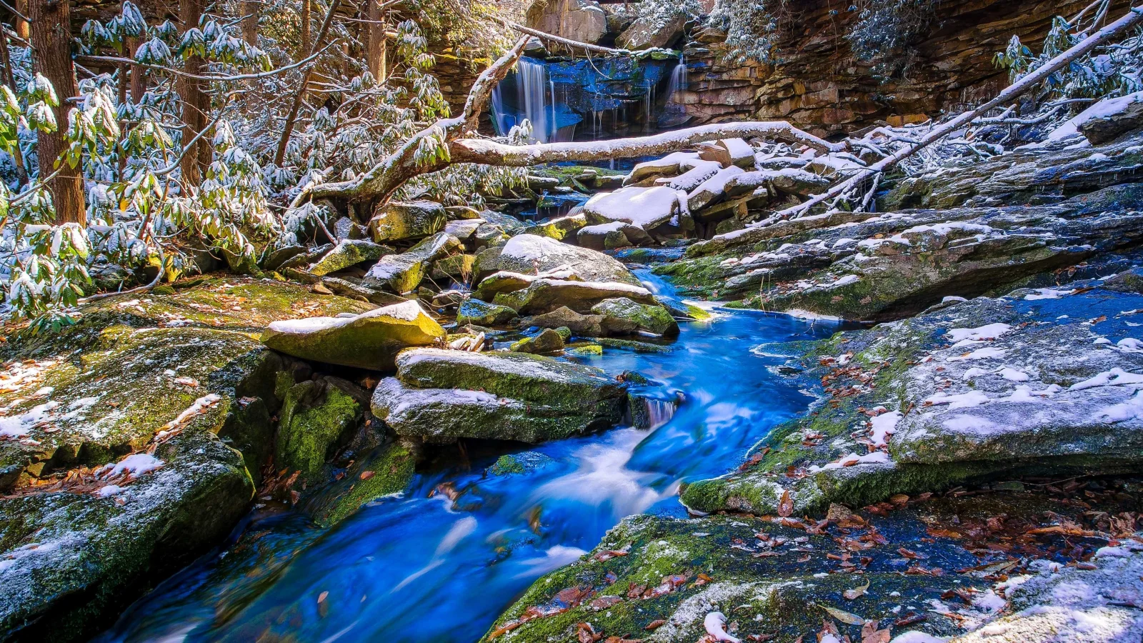 Erster Schnee Bedeckte Felsen bei Wald Baches