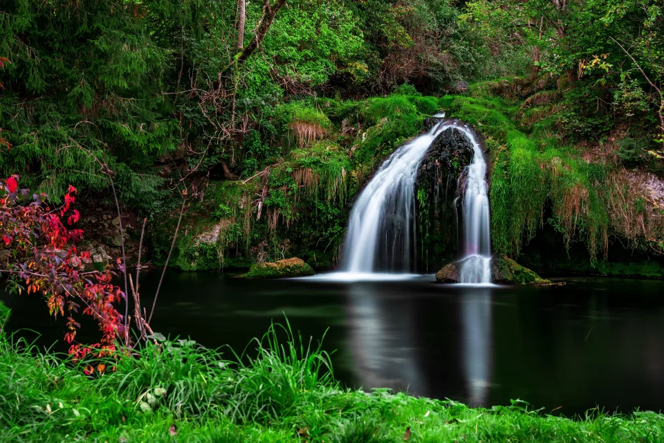 Grüne Vegetation am Wasserfall im Wald