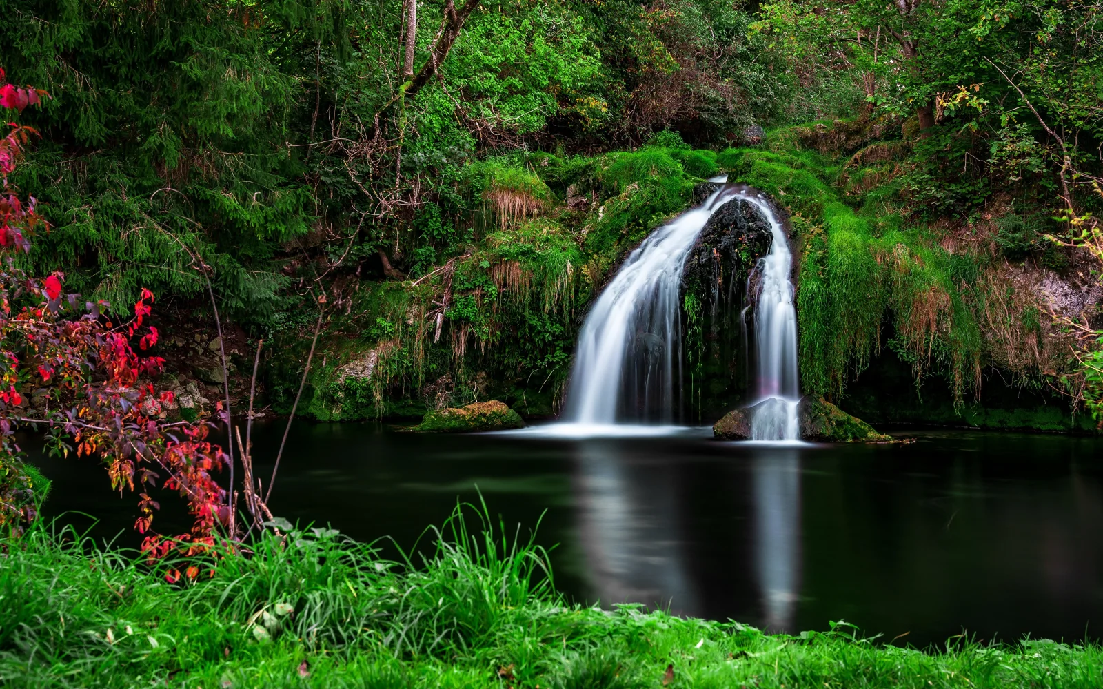 Grüne Vegetation am Wasserfall im Wald