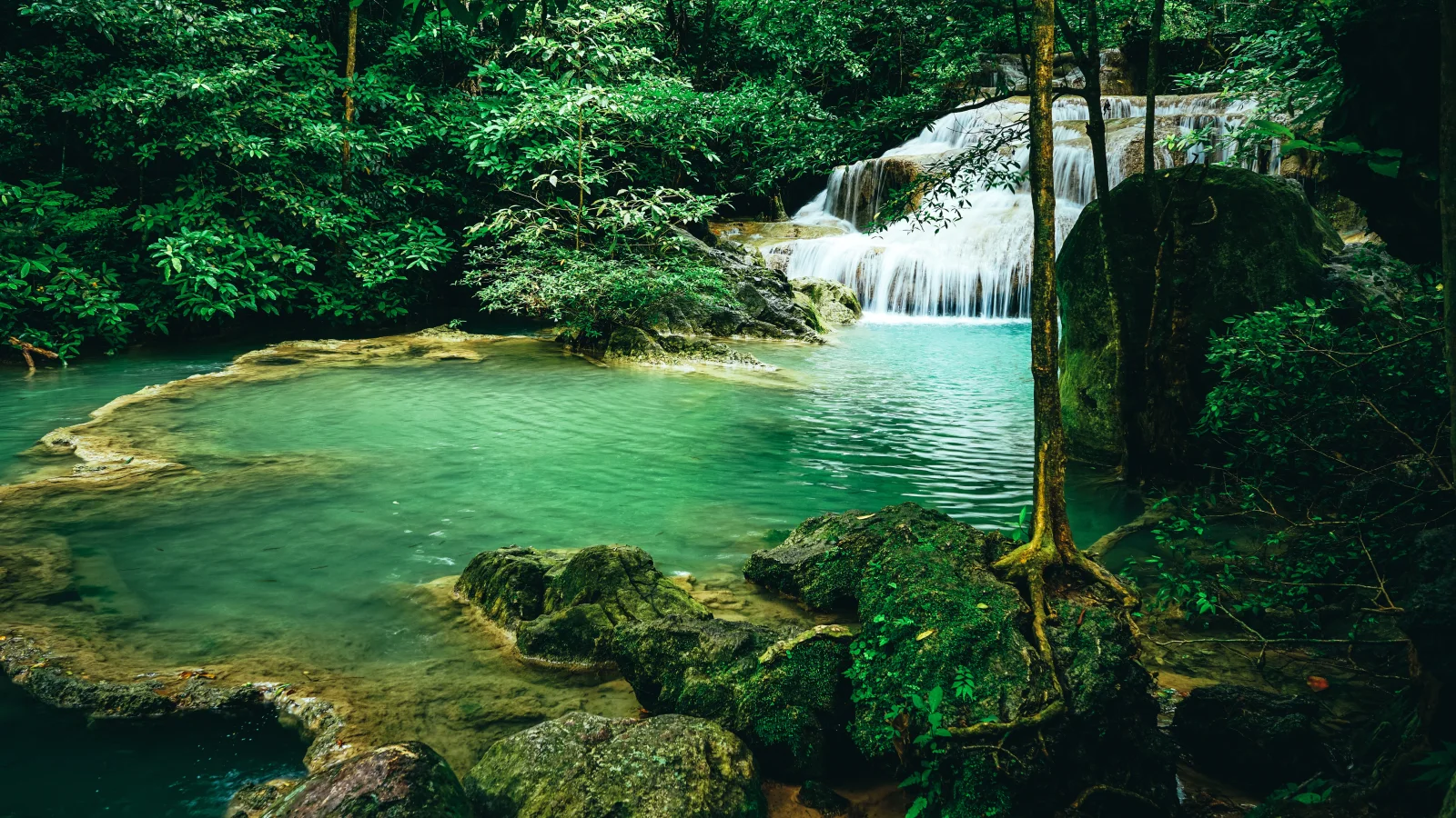 Klares hellblaues Wasser des Waldwasserfalls