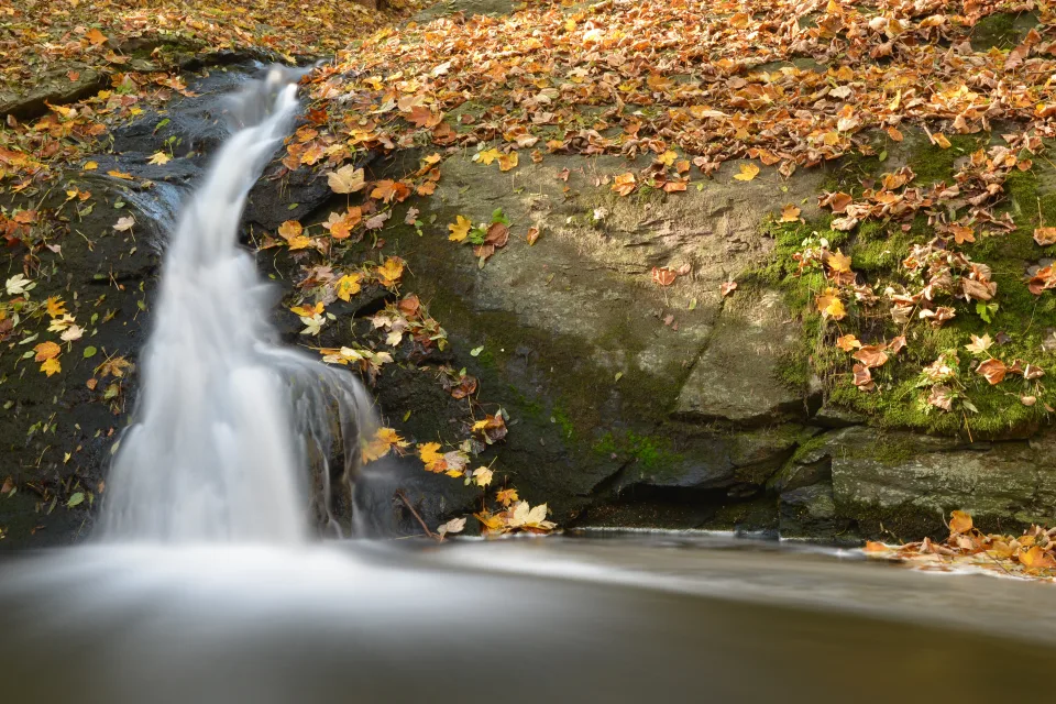 Kleiner Wasserfall fließt im Fluss entlang bedecktem gefallenen Blätter Felsen