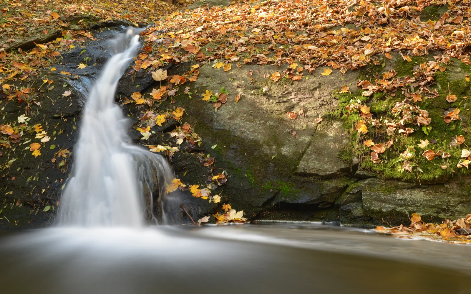 Kleiner Wasserfall fließt im Fluss entlang bedecktem gefallenen Blätter Felsen