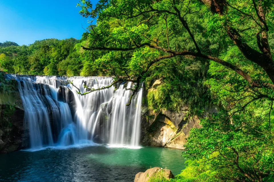 Schneller Wasserfall fließt mit Felsen im Wald mit grünen Baum