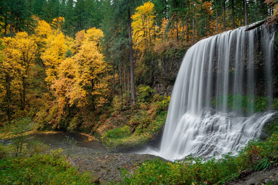 Schneller kalter Wasserfall im Herbstwald