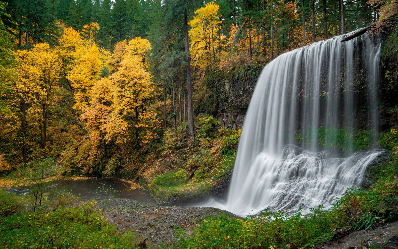 Schneller kalter Wasserfall im Herbstwald