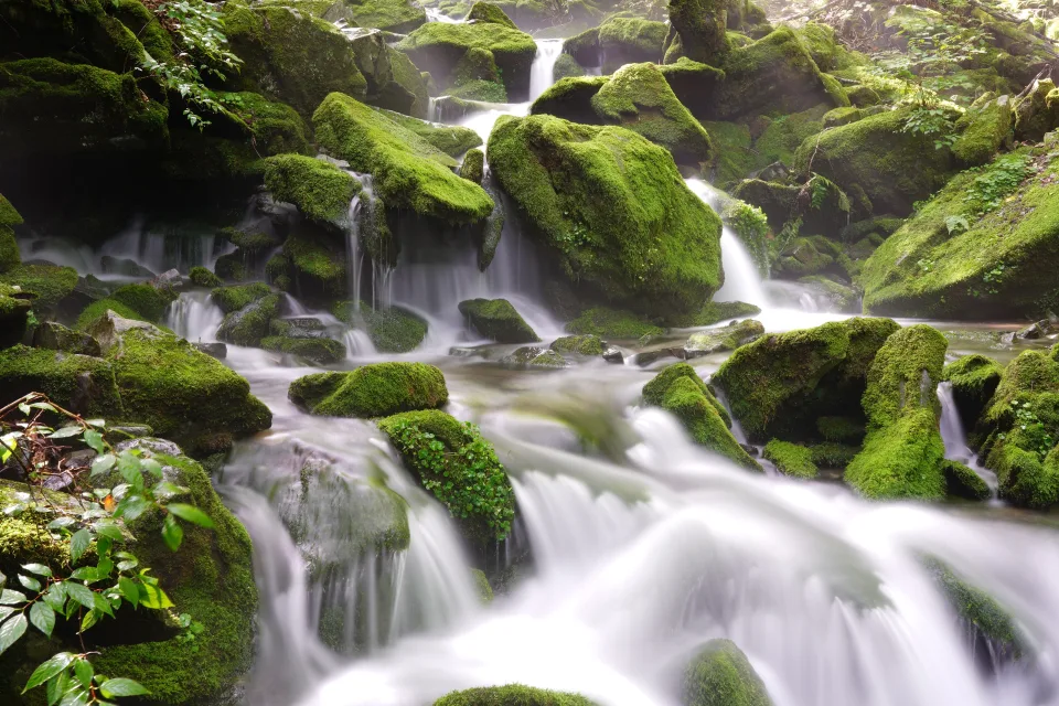 Schnelles Wasser Wasserfall fließt entlang großem bedecktem Moos Felsen