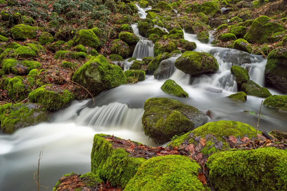 Schnelles Wasser des Waldwasserfalls fließt entlang mit grünem Moos bedeckten Felsen