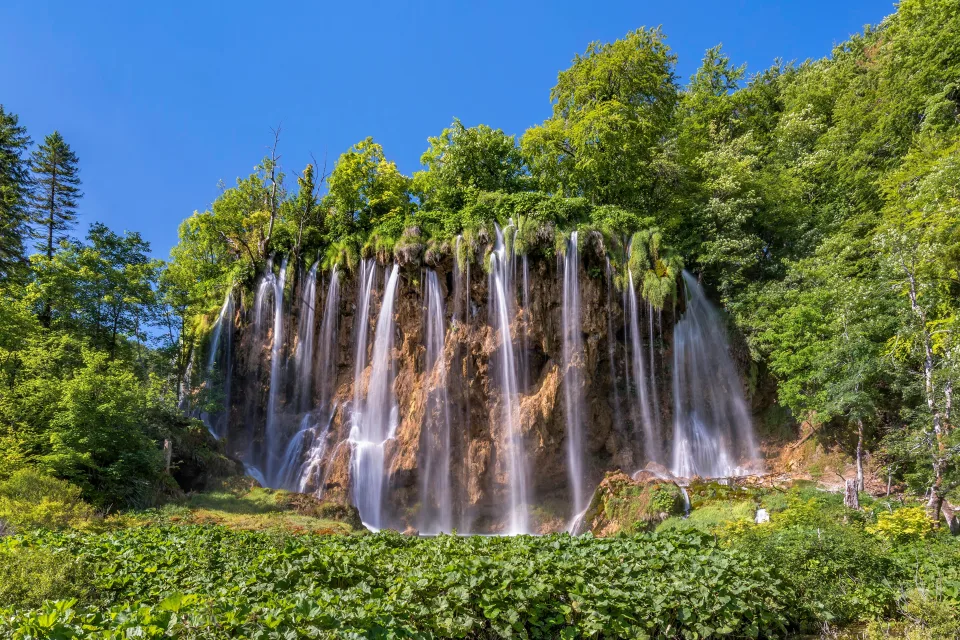 Schöner Wasserfall fließt mit Hangs mit grünen Baum