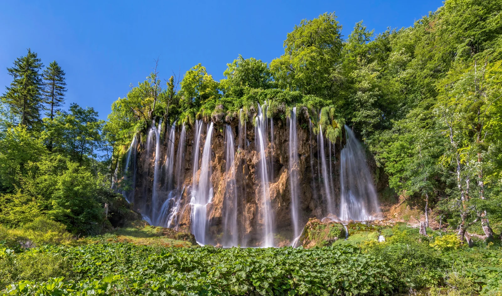 Schöner Wasserfall fließt mit Hangs mit grünen Baum