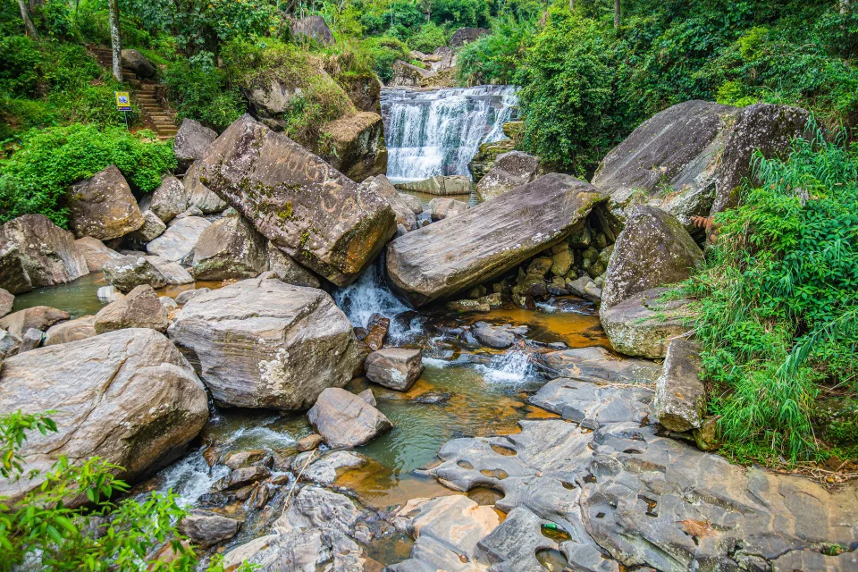 Wald Wasserfall fließt entlang Felsen