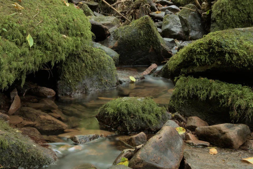 Wald Wasserfall fließt entlang kaltem Felsen im Herbst