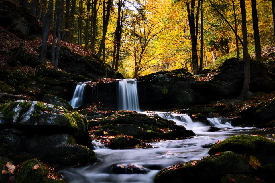 Wald Wasserfall fließt über Steine im Wald