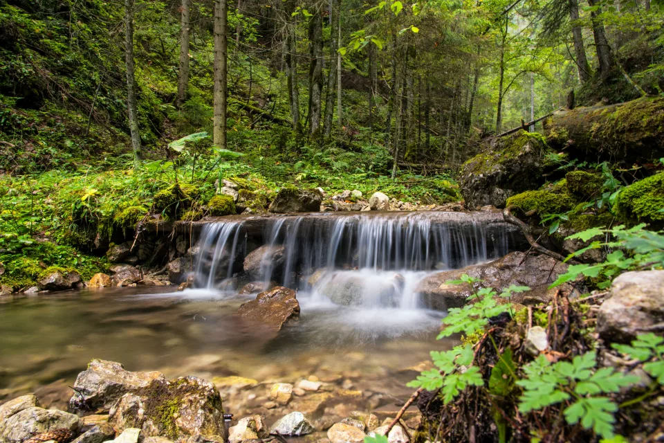 Wasserfall fließt entlang Felsen im Wald