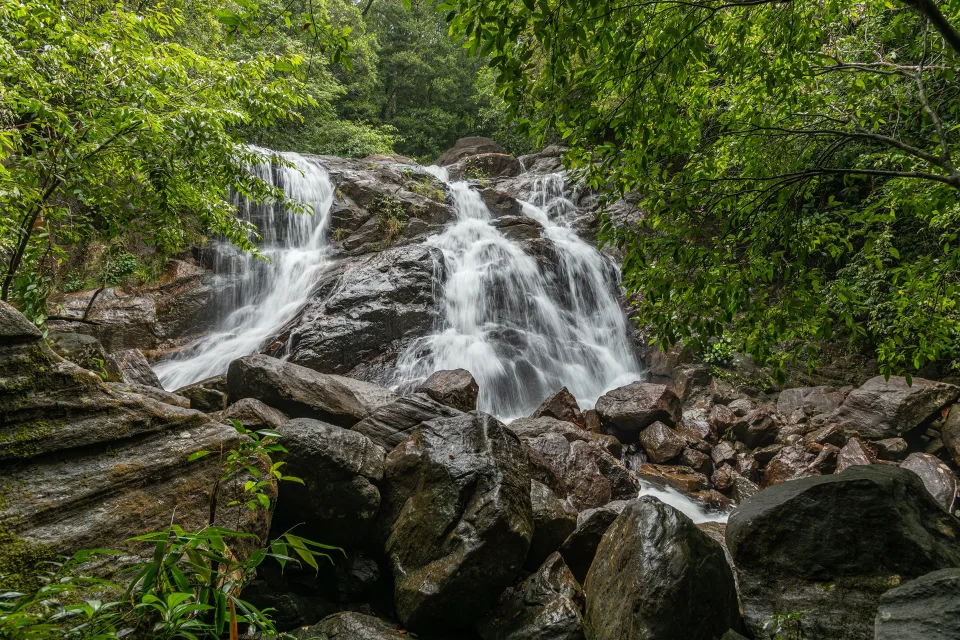Wasserfall fließt entlang großem Felsen im Wald