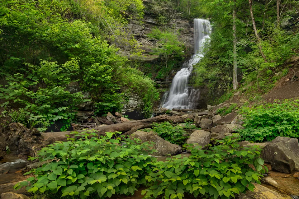 Wasserfall fließt über Steine im Nationalpark, USA