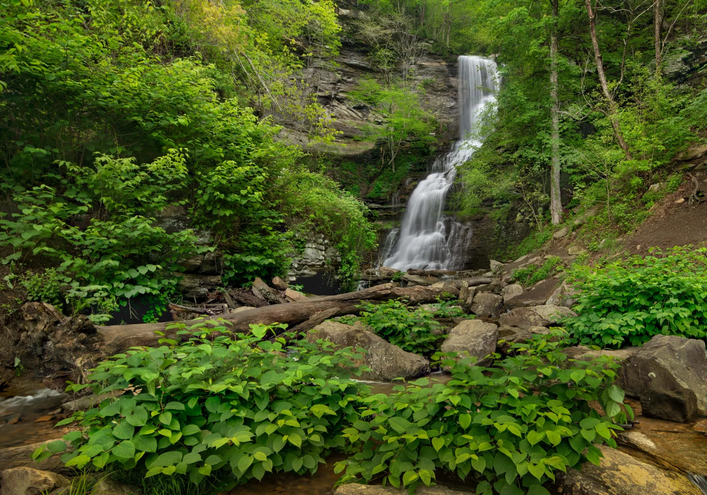 Wasserfall fließt über Steine im Nationalpark, USA