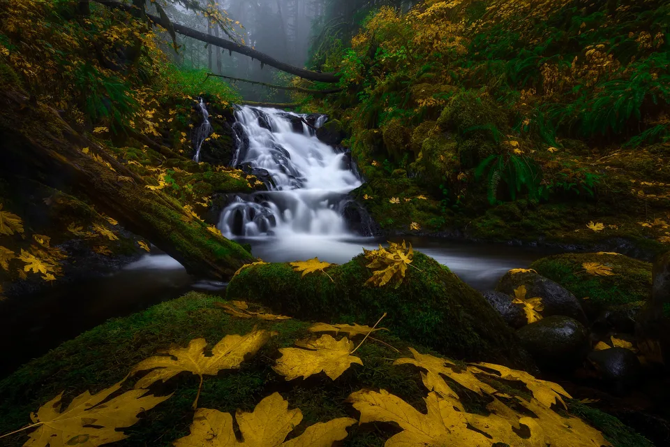 Wasserfall im Wald im Herbst