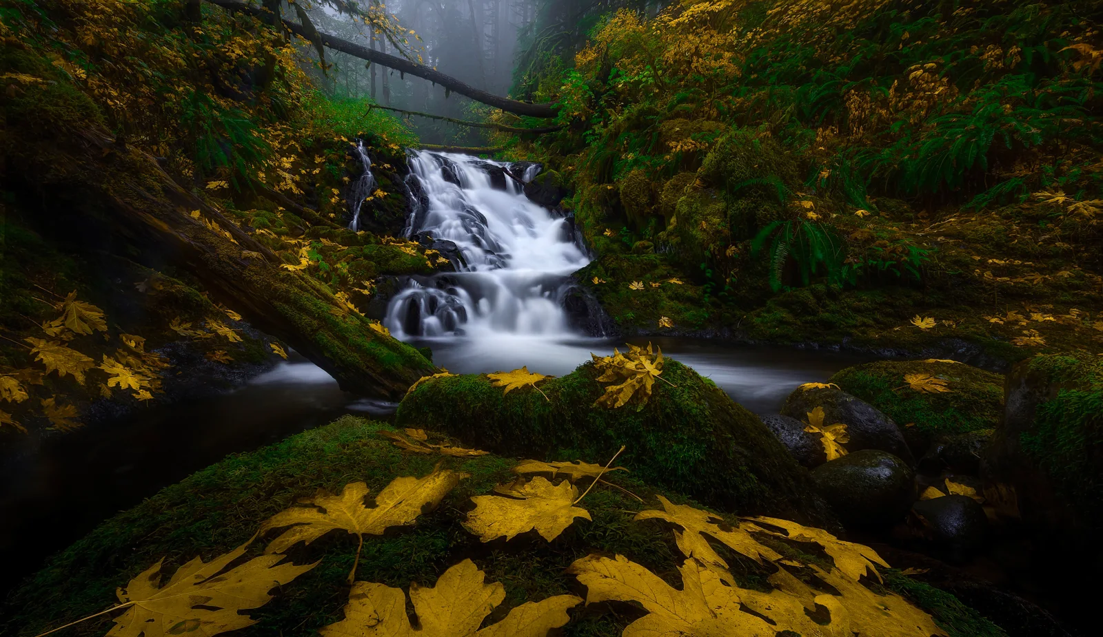 Wasserfall im Wald im Herbst