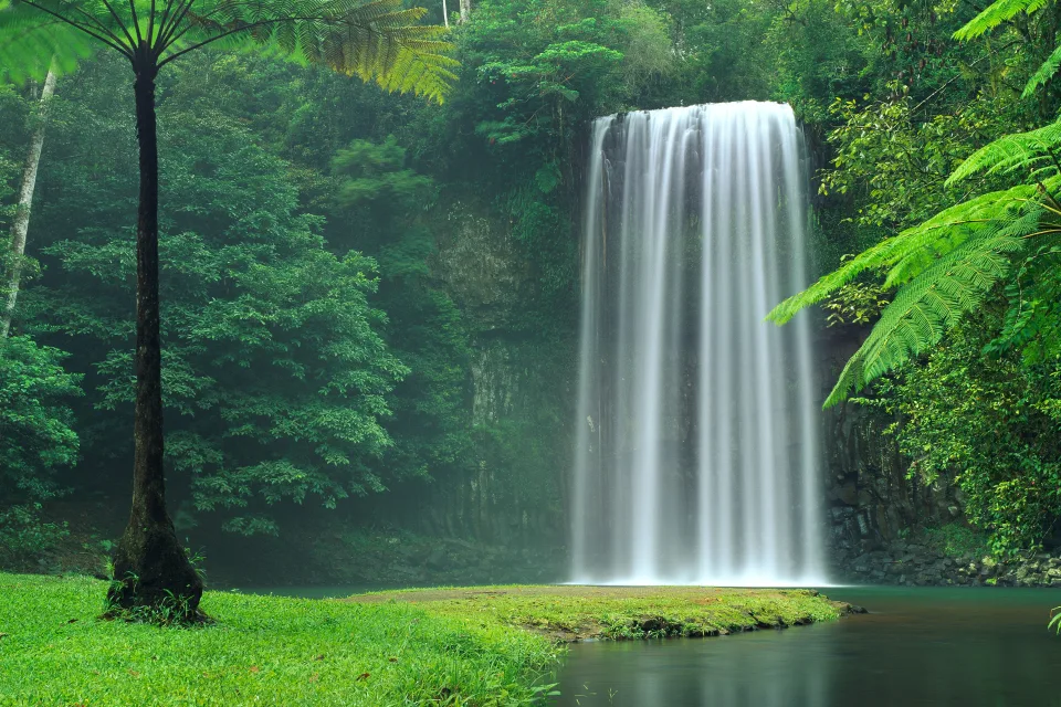 Wasserfall in grünen Dickicht, Australien