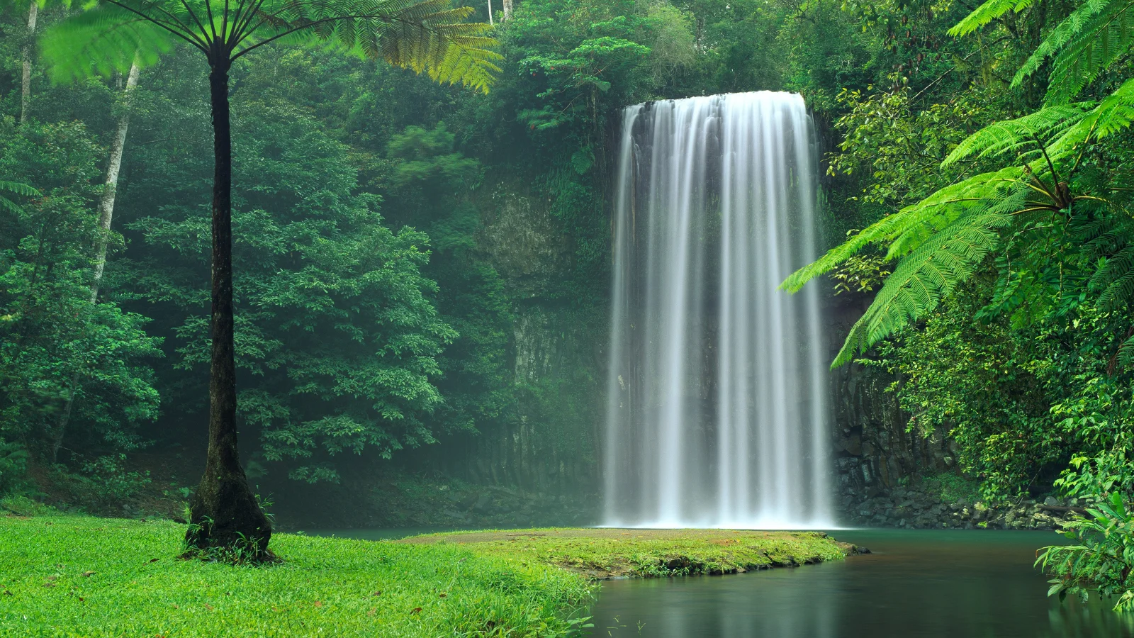 Wasserfall in grünen Dickicht, Australien