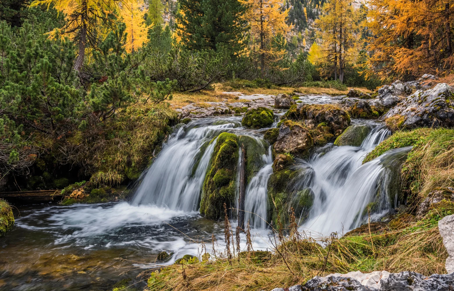 Wasserfall zwischen Felsen im Herbstwald